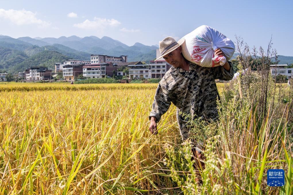 百老汇平台登录